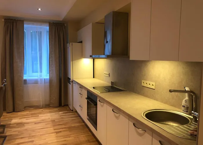 Riverside Embassy Huge With Free Parking Apartment Riga